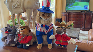 Funny Cat & Great Danes Enjoy Canada & Independence Day Costume & Critter Fun