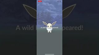 Shiny Eevee