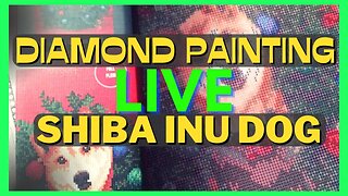Diamond Painting | Shiba Inu Dog #live