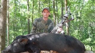 WILD BOAR Bow Hunt! my first one. The making of GA Bowhunter!