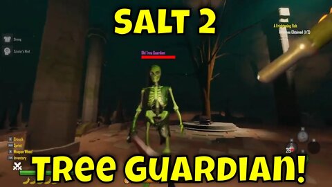 Salt 2 Tree Guardian Fight!