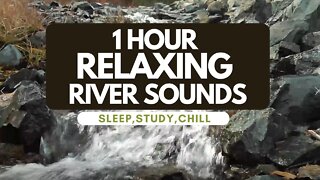 RELAXING RIVER SOUNDS 1 HOUR - THE BEST WAY FOR DEEP SLEEPING, STUDY, CHILL