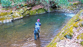 Fly Fishing For the Most BEAUTIFUL Fish on Earth! (Appalachian Brook Trout)