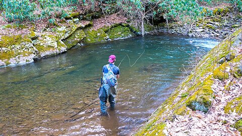 Fly Fishing For the Most BEAUTIFUL Fish on Earth! (Appalachian Brook Trout)