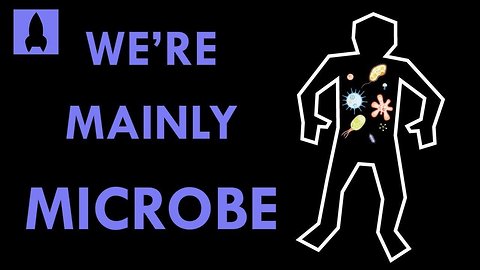 We're Mainly Microbe: Meet Your Microbiome