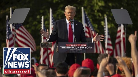 Trump says he can win NY, has a 'special connection' with voters EXCLUSIVE Greg Gutfeld News