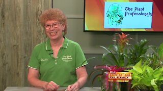 The Plant Professionals - 7/15/21