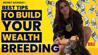 How to Build Wealth with Dog Breeding Business | BBC PODCAST | Money Monday
