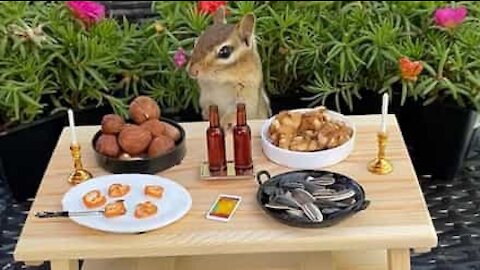 Un écureuil se fait inviter à un pique-nique