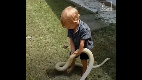 This fearless kid became a snake catcher at just one year old