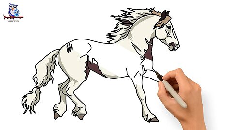How to Draw a Horse - Step by Step