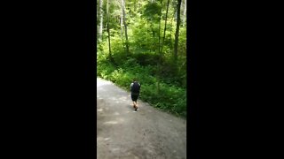 Hiking On The Oak Ridges Trail #short #shorts #shortvideo #shortsvideo