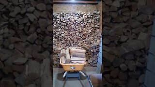 No. 799 – Firewood Almost Done Being Stacked #Shorts