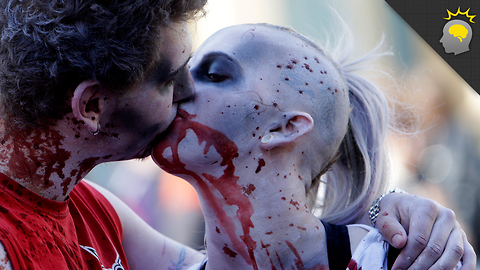 Stuff to Blow Your Mind: Horror Movie Aphrodisiac - Science on the Web