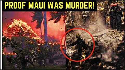 Why Maui Wildfire Was Murder