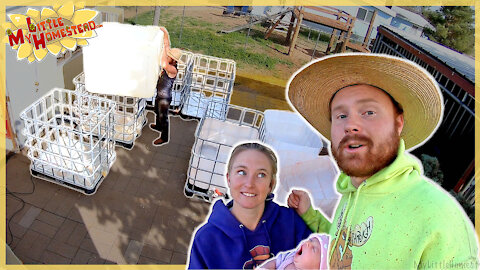 Aquaponic Tanks, Trip to Oatman & Baby spots Mobile @20:37! | Weekly Peek Ep223