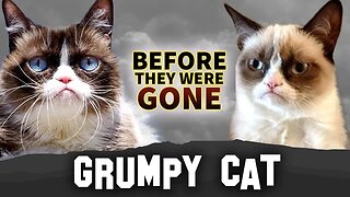 Grumpy Cat | Before They Were Gone | Tardar Sauce