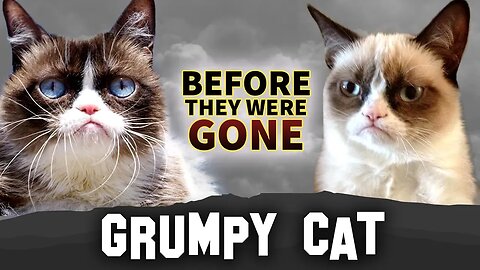 Grumpy Cat | Before They Were Gone | Tardar Sauce