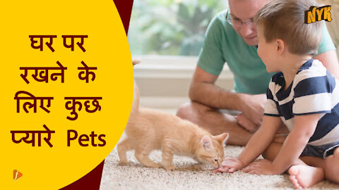घर पर रखने के लिए टॉप 4 बेस्ट Pets *