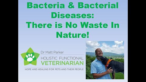 Bacteria & Bacterial Diseases: There is No Waste In Nature!