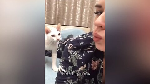 funny animals video with cute girl 😍