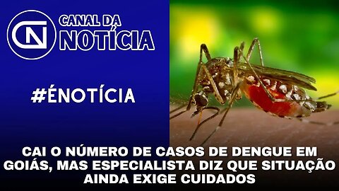 CAI O NÚMERO DE CASOS DE DENGUE EM GOIÁS, MAS ESPECIALISTA DIZ QUE SITUAÇÃO AINDA EXIGE CUIDADOS