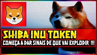 SHIBA INU TOKEN COMEÇA A DAR SINAIS DE QUE VAI EXPLODIR !!!