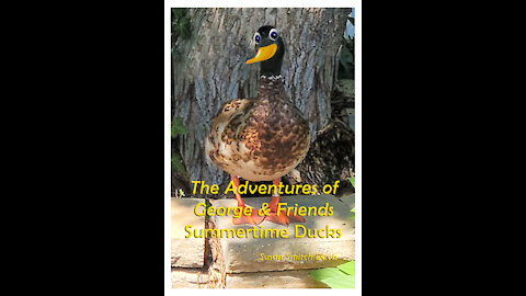 Children's book trailer: "Summertime Ducks"