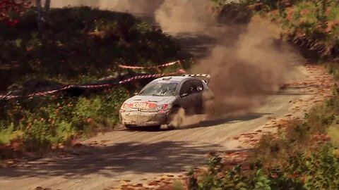 DiRT Rally 2 - Replay - Peugeot 206 at North Fork Pass Reverse