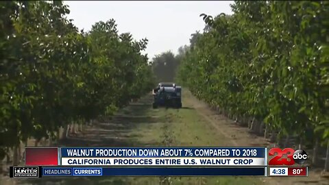 AG REPORT: USDA visits Grimmway Farms, fewer walnuts, increasing avocado demand