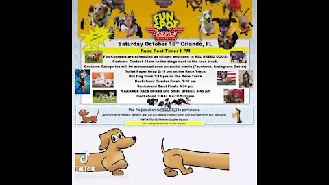 Fun spot 10-16-21 all dogs welcome to race