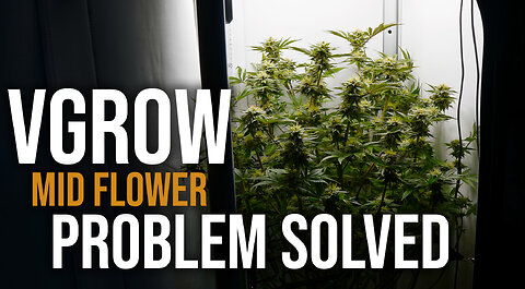 Vivosun Vgrow Problem Solved - Mid Flower