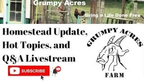 2nd attempt - Homestead Update Live Stream: What we did this week, and a conversation with chat.