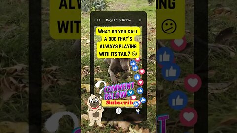Dogs Riddle | Dogs Riddles in English | Riddles with Answer | Hard riddles | #shorts