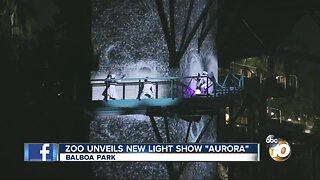 San Diego Zoo unveils new light show 'aurora'