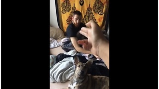 Dog and human simultaneously perform "bang" trick