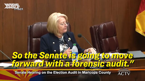 Arizona Senate President Karen Fann