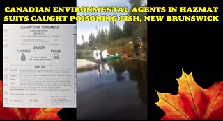 Canadian Environmental Agents POISONING FISH and the WATER SUPPLY!
