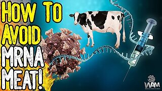 WAM: HOW TO AVOID mRNA MEAT! - The Fight Against Farmers Continues! 11-9-2023