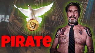 Who Was John McAfee with Author of No Domain - Mark Eglinton