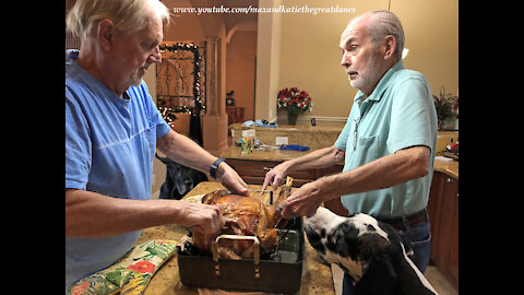 Polite Great Danes Watch The Two Man Turkey Lift and Taste Test The Turkey