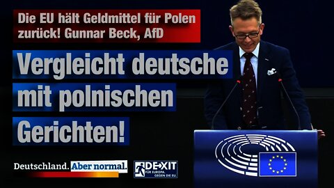 Die EU hält Geldmittel für Polen zurück! Gunnar Beck, AfD