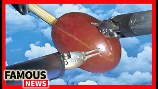 They Did Surgery On A Grape ? | Famous News