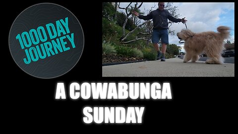1000 Day Journey 0257 A Cowabunga Sunday