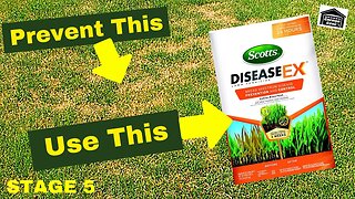 LAWN FERTILIZING PROGRAM STAGE 5 - Defend Your Lawn From Fungus And Disease With Scott’s DiseaseEX