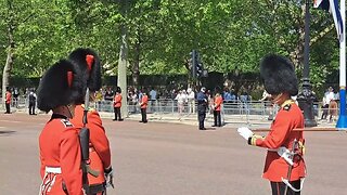 Move back stop #troopingthecolour