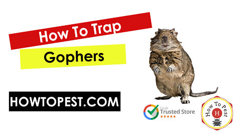 How To Trap Gophers - The Gophinator and The Victor Easy Set Gopher Trap
