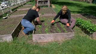 UW-Milwaukee garden helps feed students