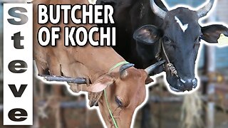 Do They EAT COWS In INDIA? - The BUTCHER of COCHIN 🇮🇳