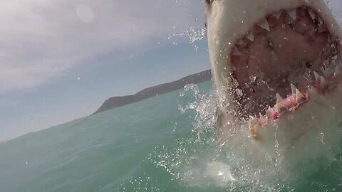 FATAL Shark Attack